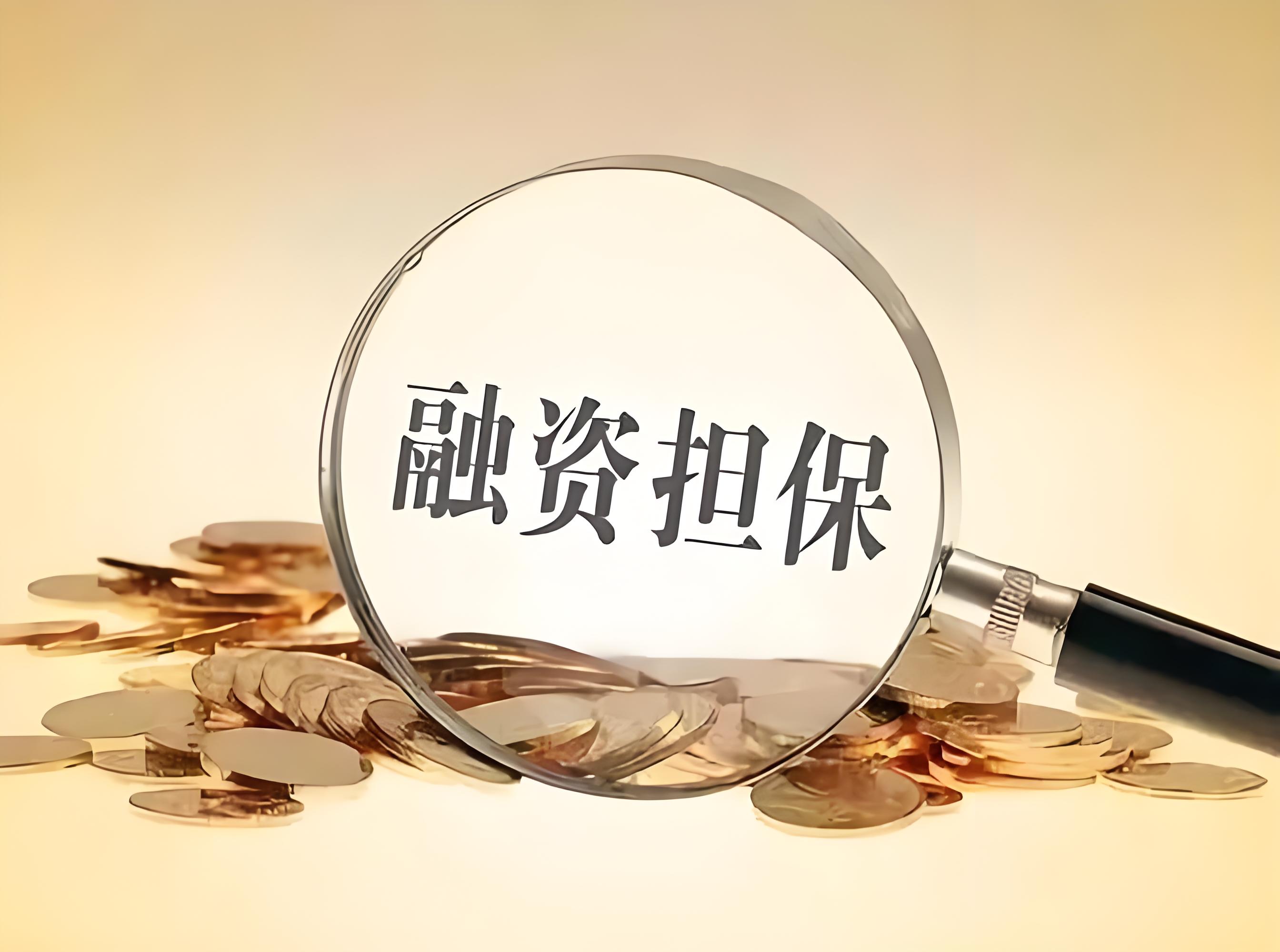 融資性擔(dān)保.jpg