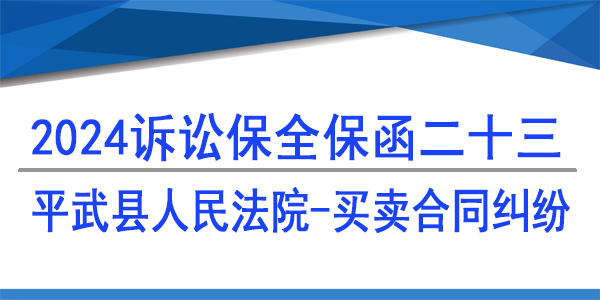 平武縣人民法院,訴訟保全