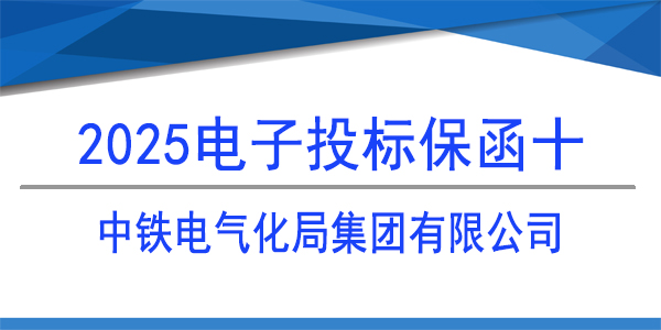 電子投標(biāo)保函,投標(biāo)保函