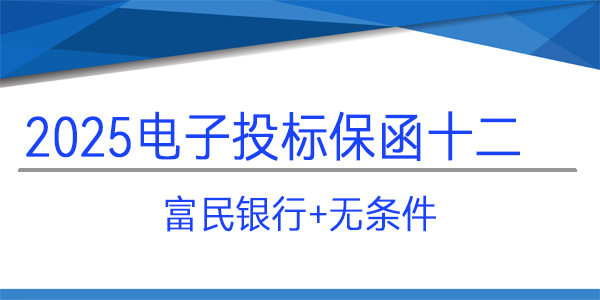 電子投標(biāo)保函,投標(biāo)保函