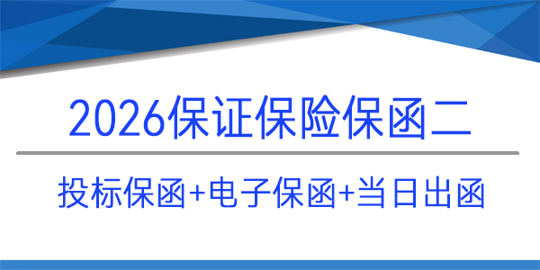 電子投標(biāo)保函,投標(biāo)保函,當(dāng)日出函,保證保險